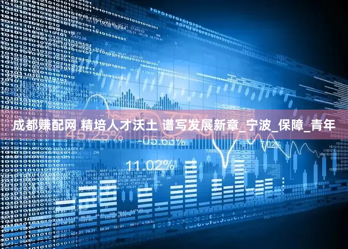 成都赚配网 精培人才沃土 谱写发展新章_宁波_保障_青年