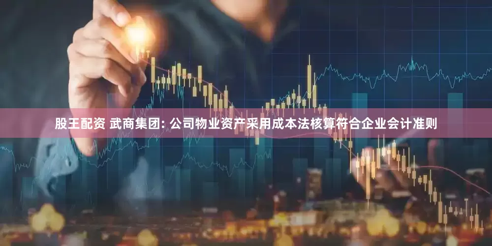股王配资 武商集团: 公司物业资产采用成本法核算符合企业会计准则
