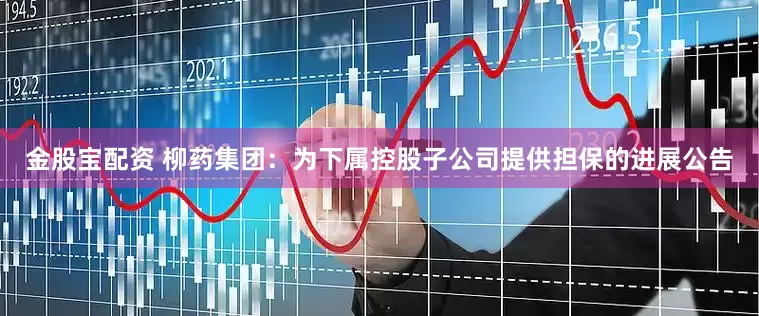 金股宝配资 柳药集团：为下属控股子公司提供担保的进展公告